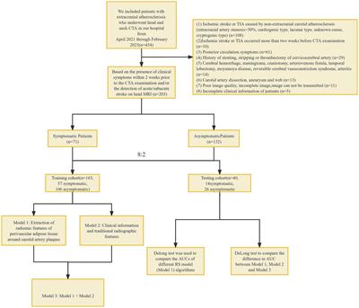 Initial experience with radiomics of carotid perivascular adipose tissue in identifying symptomatic plaque